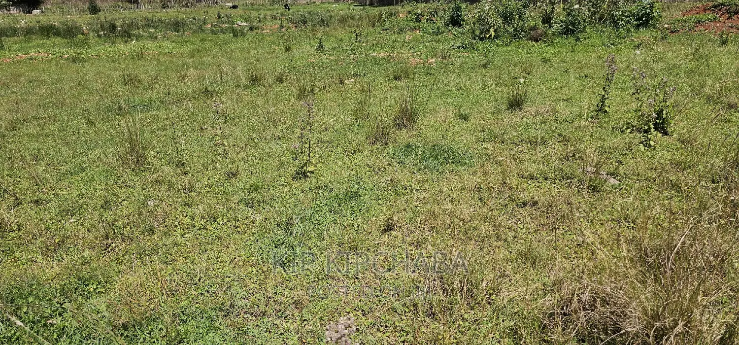 Elgonview Plot: Half-Acre Land for Sale in Eldoret in Elgon View