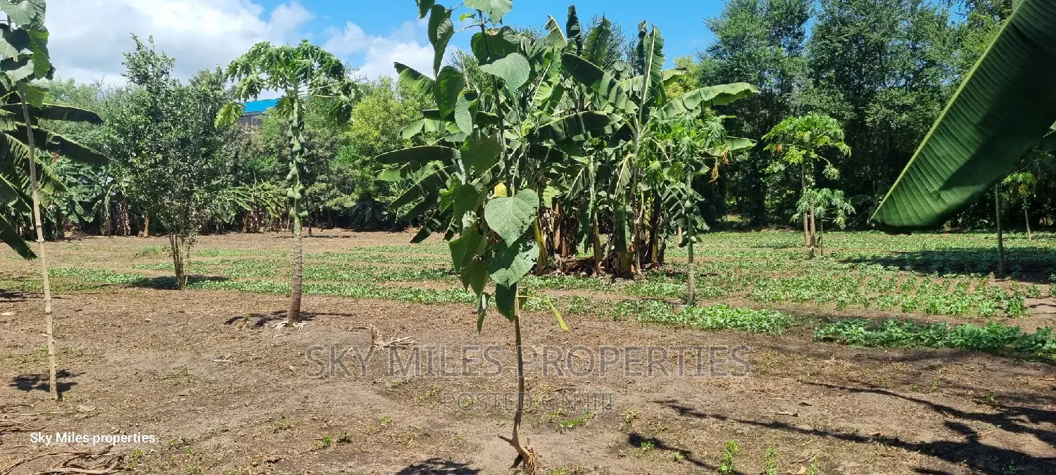 Mtwapa 1/2 Acre Land: Real Estate Opportunity in Mtwapa
