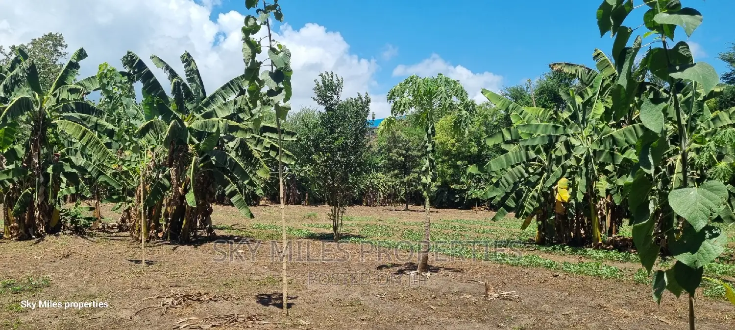 Mtwapa 1/2 Acre Land: Real Estate Opportunity in Mtwapa