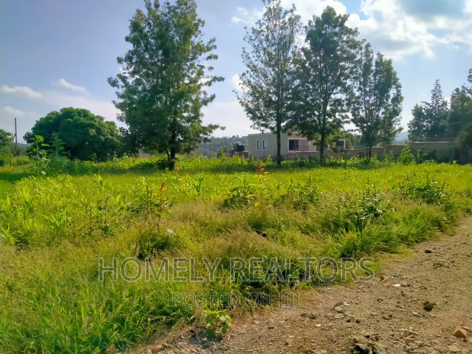 Ongata Rongai Nkoroi, Oloika: 8-Acre Residential Plot for Sale in Nkoroi
