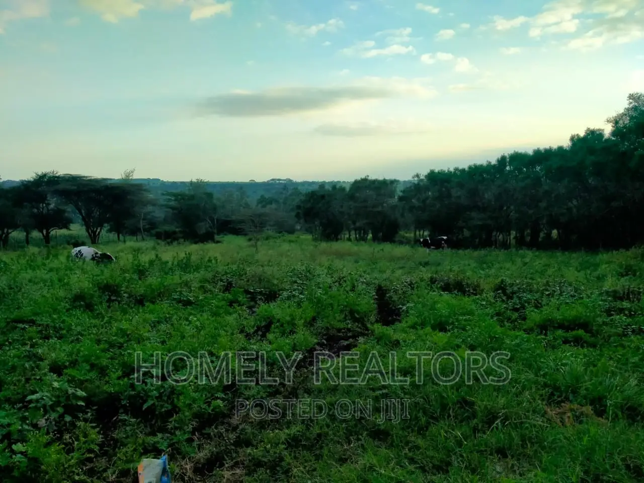 Half Acre Residential Plot Available in Kandisi, Ongata Rongai in Kandisi