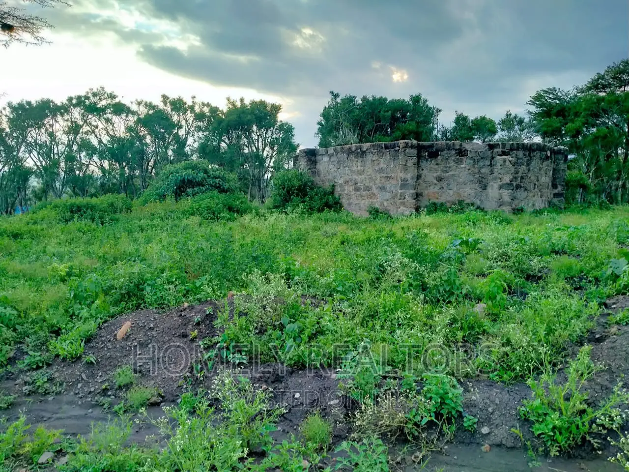 Police Station Proximity: Kandisi Half-Acre Land for Sale in Kandisi
