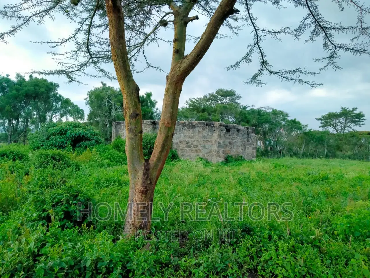 Police Station Proximity: Kandisi Half-Acre Land for Sale in Kandisi