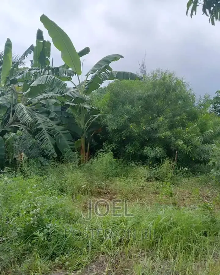 45 Acres of Land with Ready Title Deed in Malindi for Sale in Town Centre