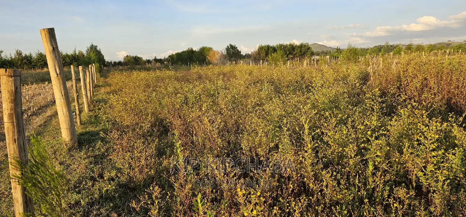 Full 1⁄4 Plot For Sale In Chepkanga Eldoret in Kimumu