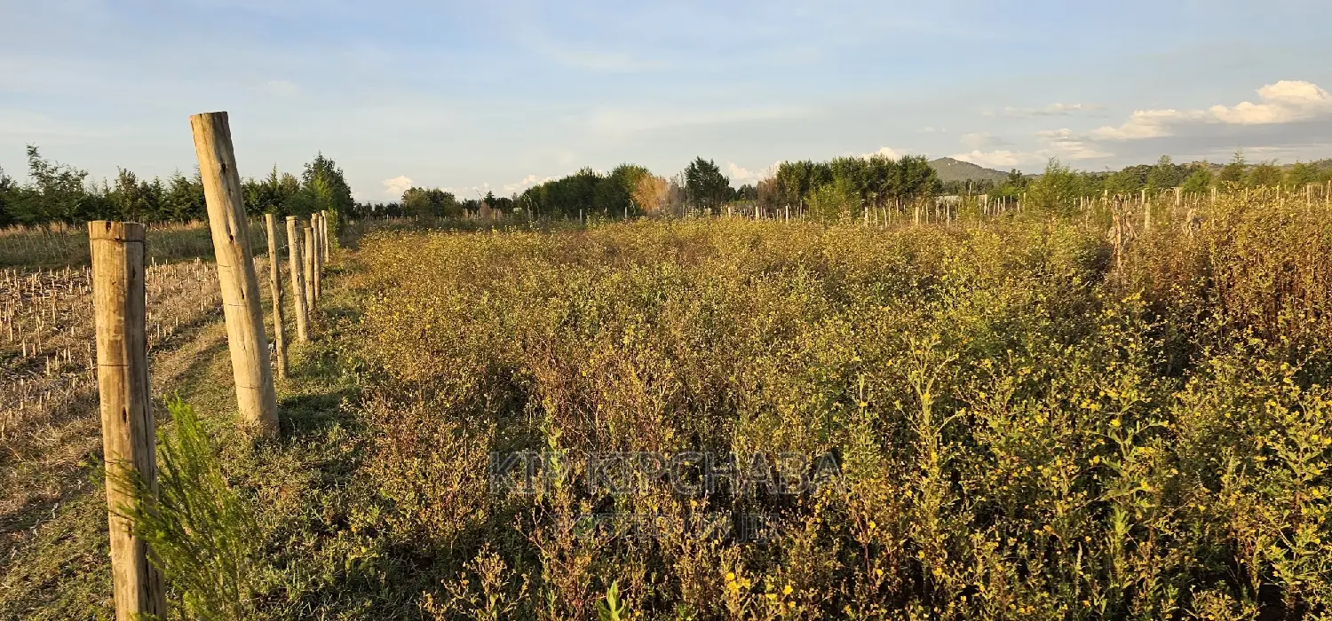 Full 1⁄4 Plot For Sale In Chepkanga Eldoret in Kimumu