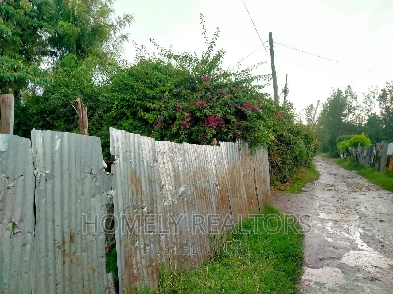 Prime 2nd Row Commercial Quarter Acre Land: Vet, Ngong - Investment Opportunity in Ole Polos