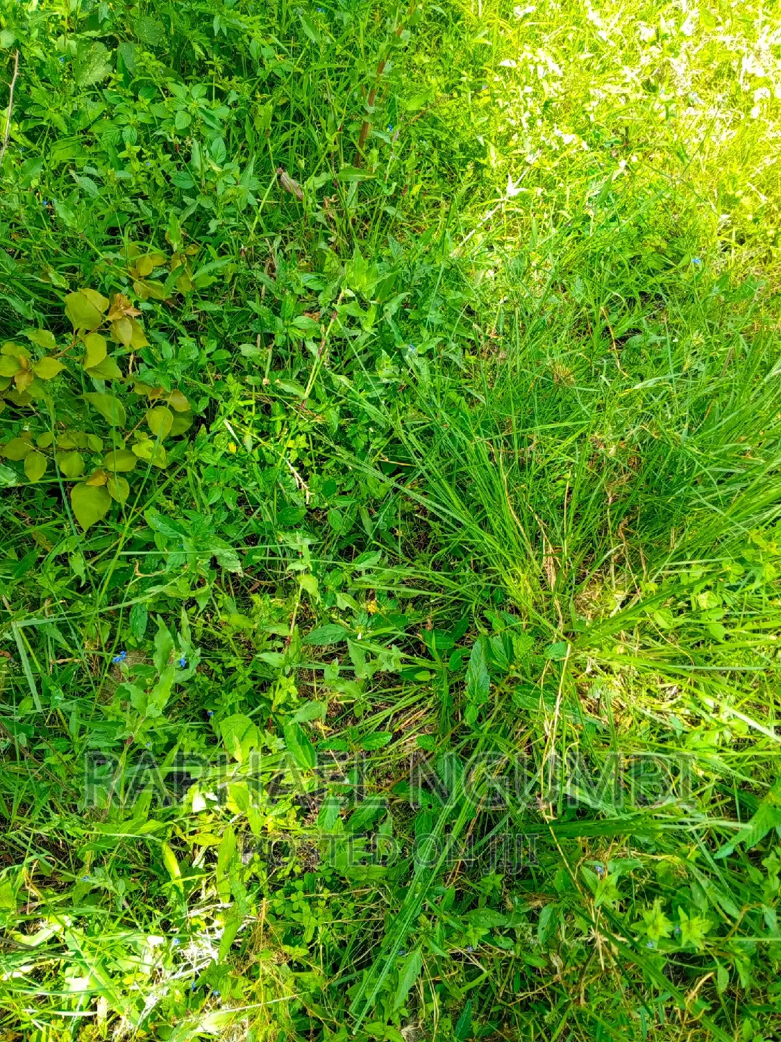Three (3) Acres at Lukenya Kwa Mboo in Athi River