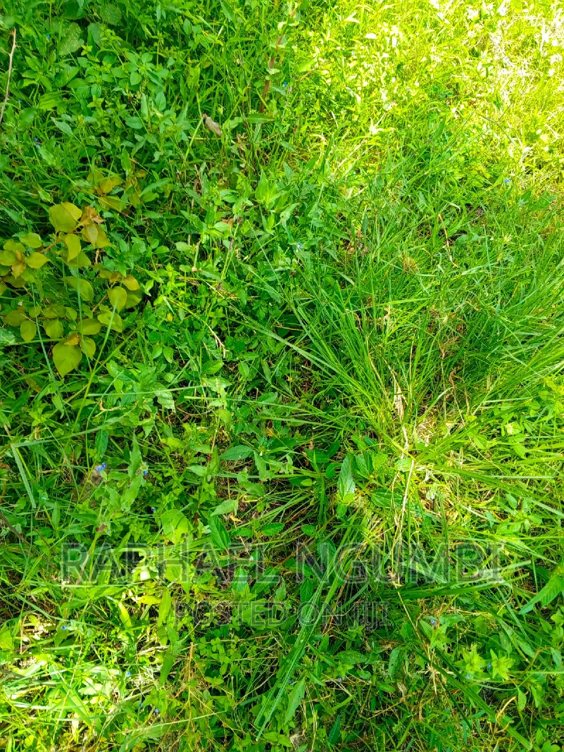 Three (3) Acres at Lukenya Kwa Mboo in Athi River