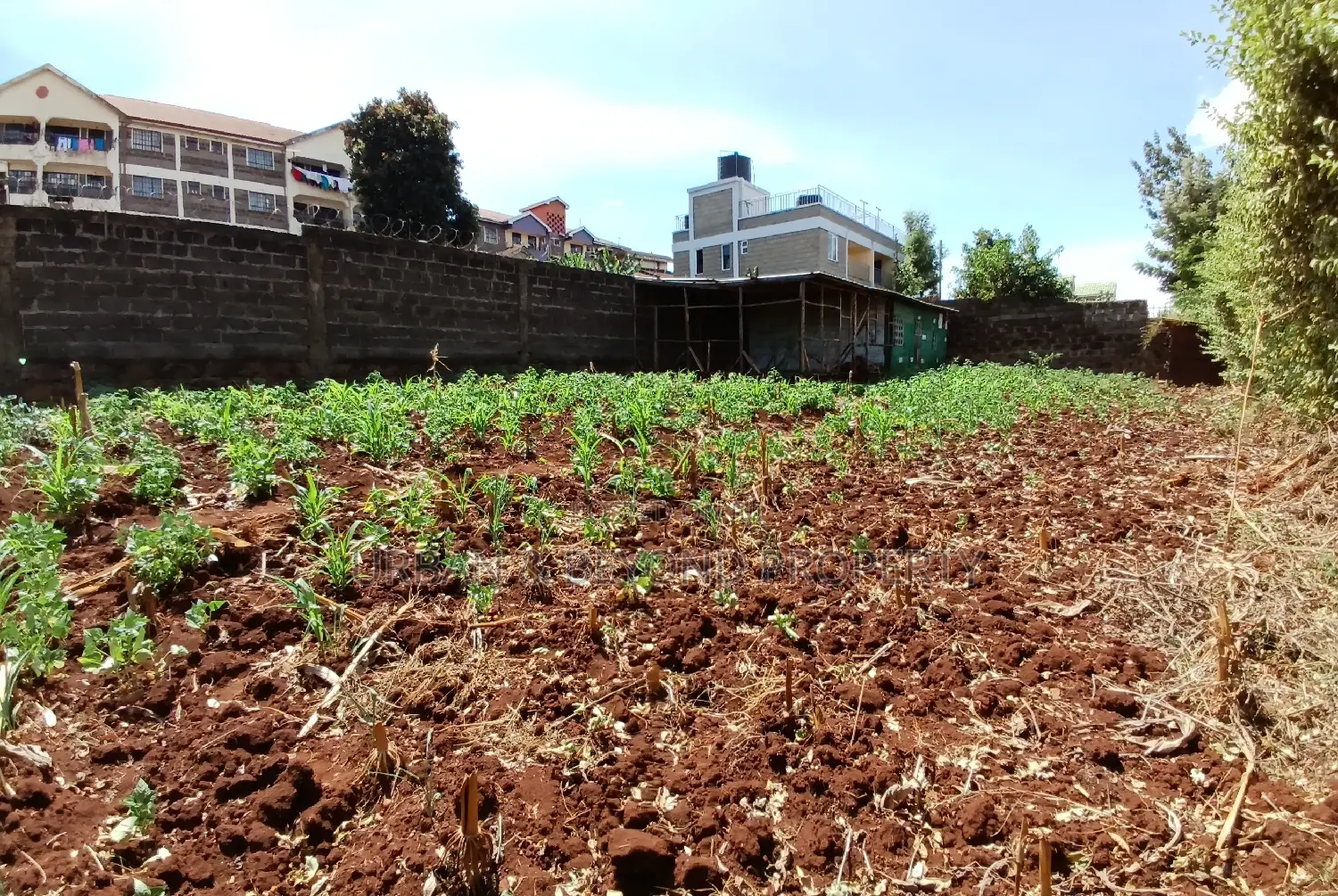 Kidfarmaco - Sell Prime Plot of Land - 0.0623 Ha in Kikuyu in Kikuyu