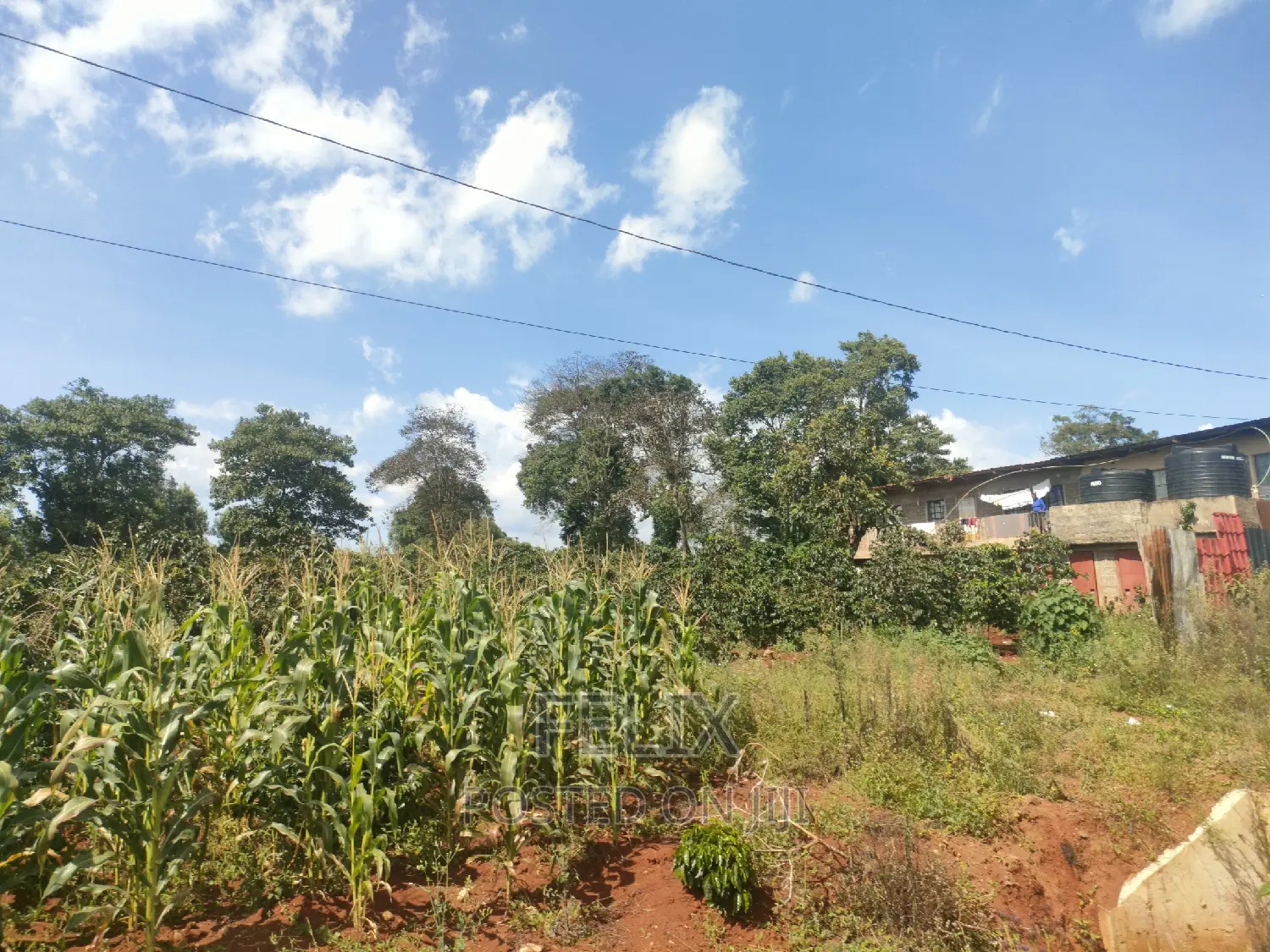 Karatina Mathaithi Superhighway 1.5 Acres in Karatina Town