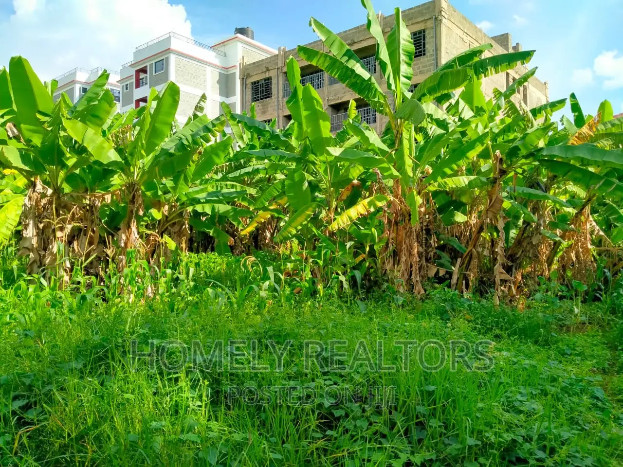 Vet, Ngong Commercial Land - Half Acre Plot with Perimeter Wall - Invest Today! in Ole Polos