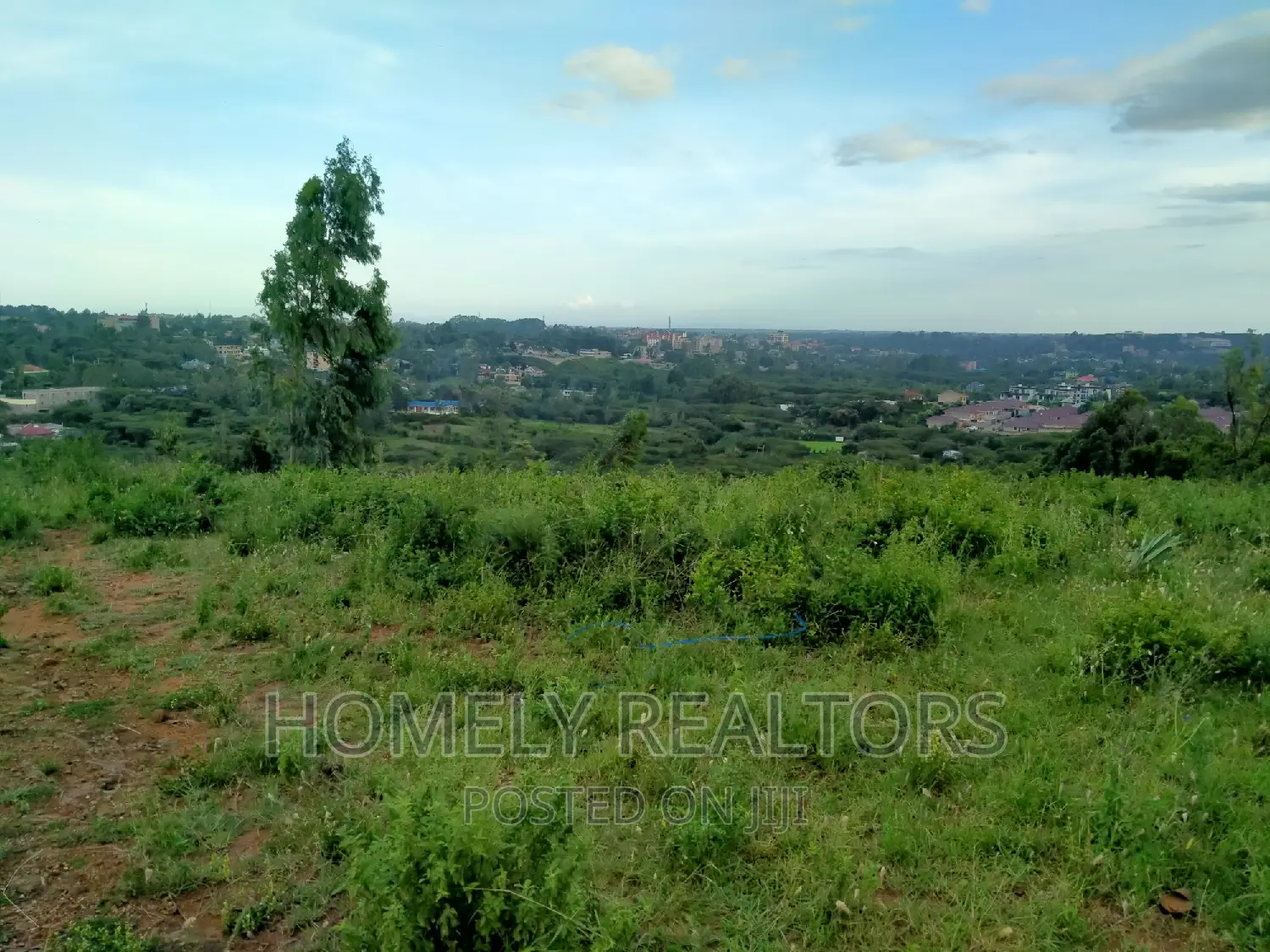 Acacia, Merisho Road: Quarter Acre Land Opportunities in Ongata Rongai in Nkoroi