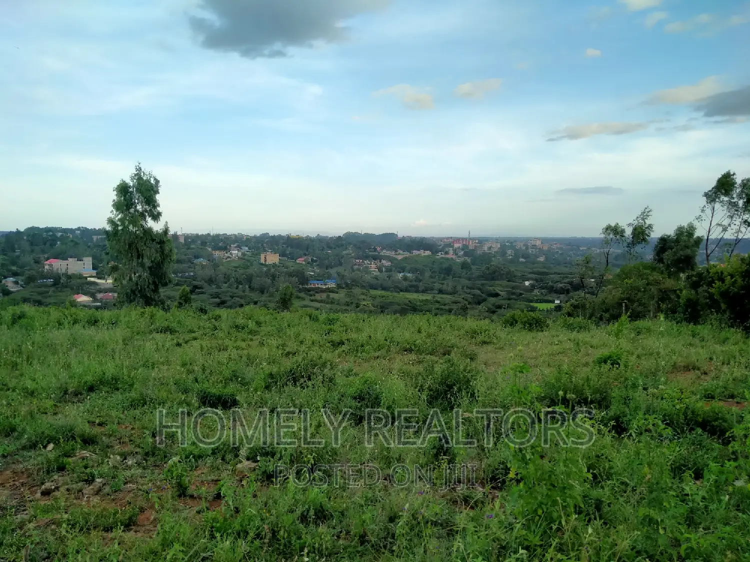 Acacia, Merisho Road: Quarter Acre Land Opportunities in Ongata Rongai in Nkoroi