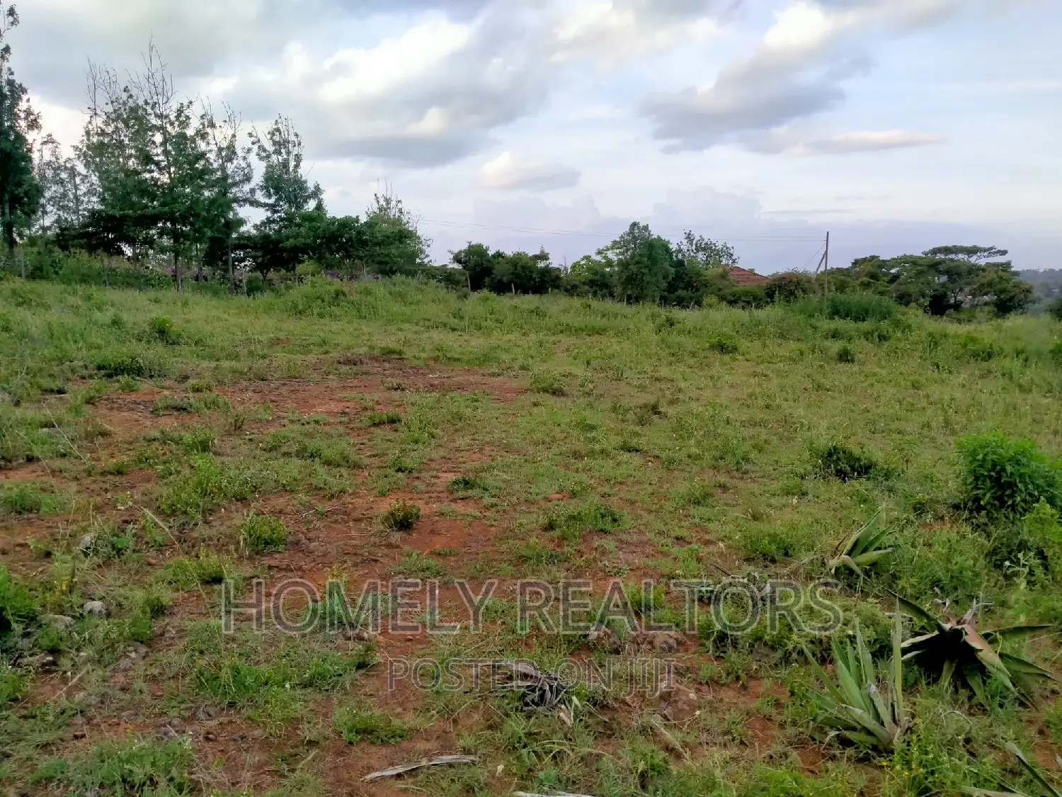 Acacia, Merisho Road: Quarter Acre Land Opportunities in Ongata Rongai in Nkoroi