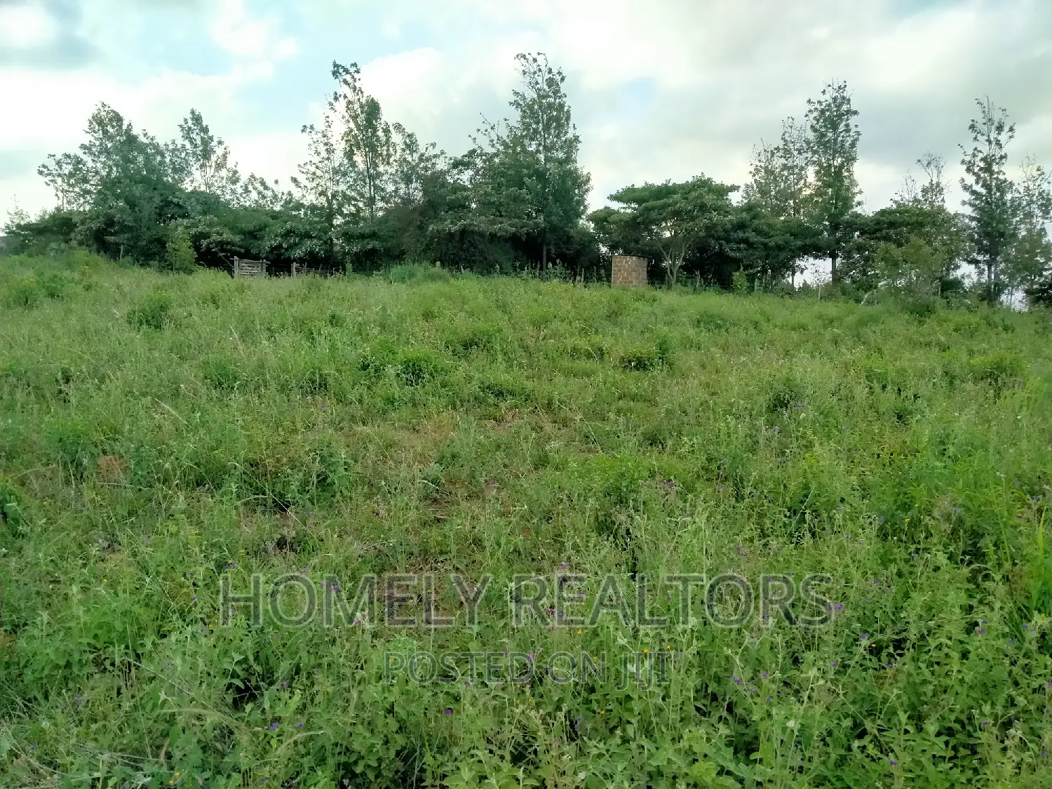 Acacia, Merisho Road: Quarter Acre Land Opportunities in Ongata Rongai in Nkoroi