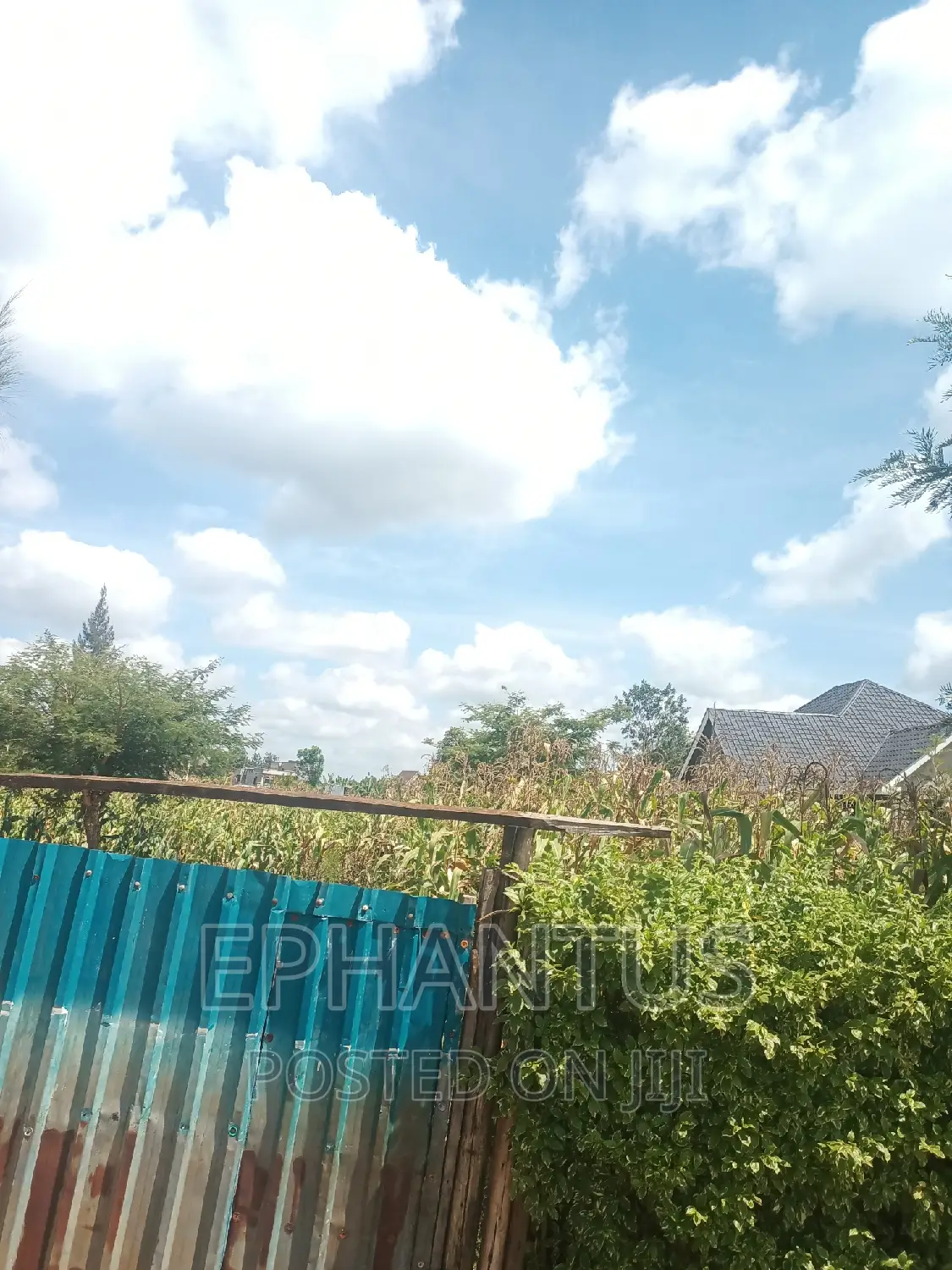 50 by 100 Plot in Ruiru Mugutha in Ruiru