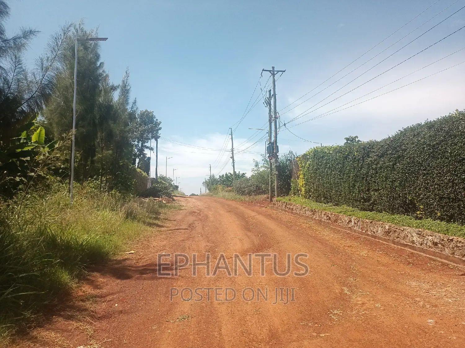 100 by 100 Plots in Dykio Mhasibu Ruiru in Ruiru