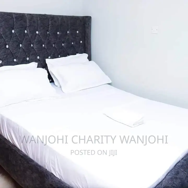 Furnished One Bedroom South B in South B