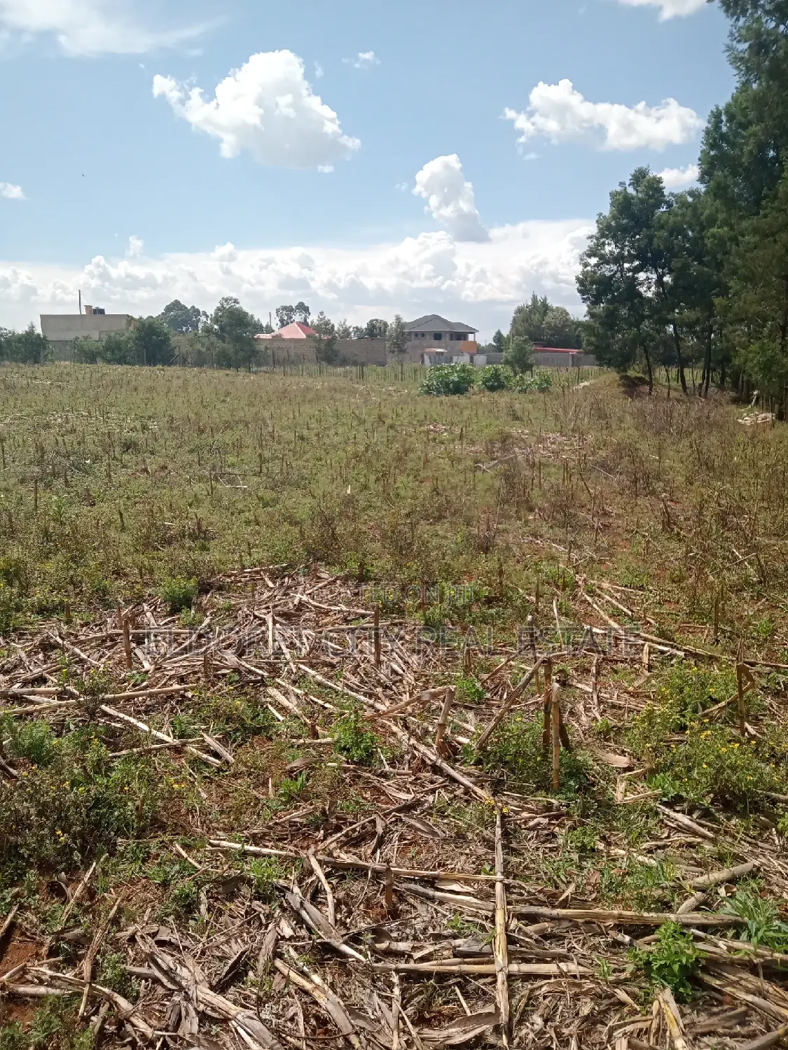 1/4 Plot Plus an 1/8 Plot One Title Kiplombe. in Kapsuswa