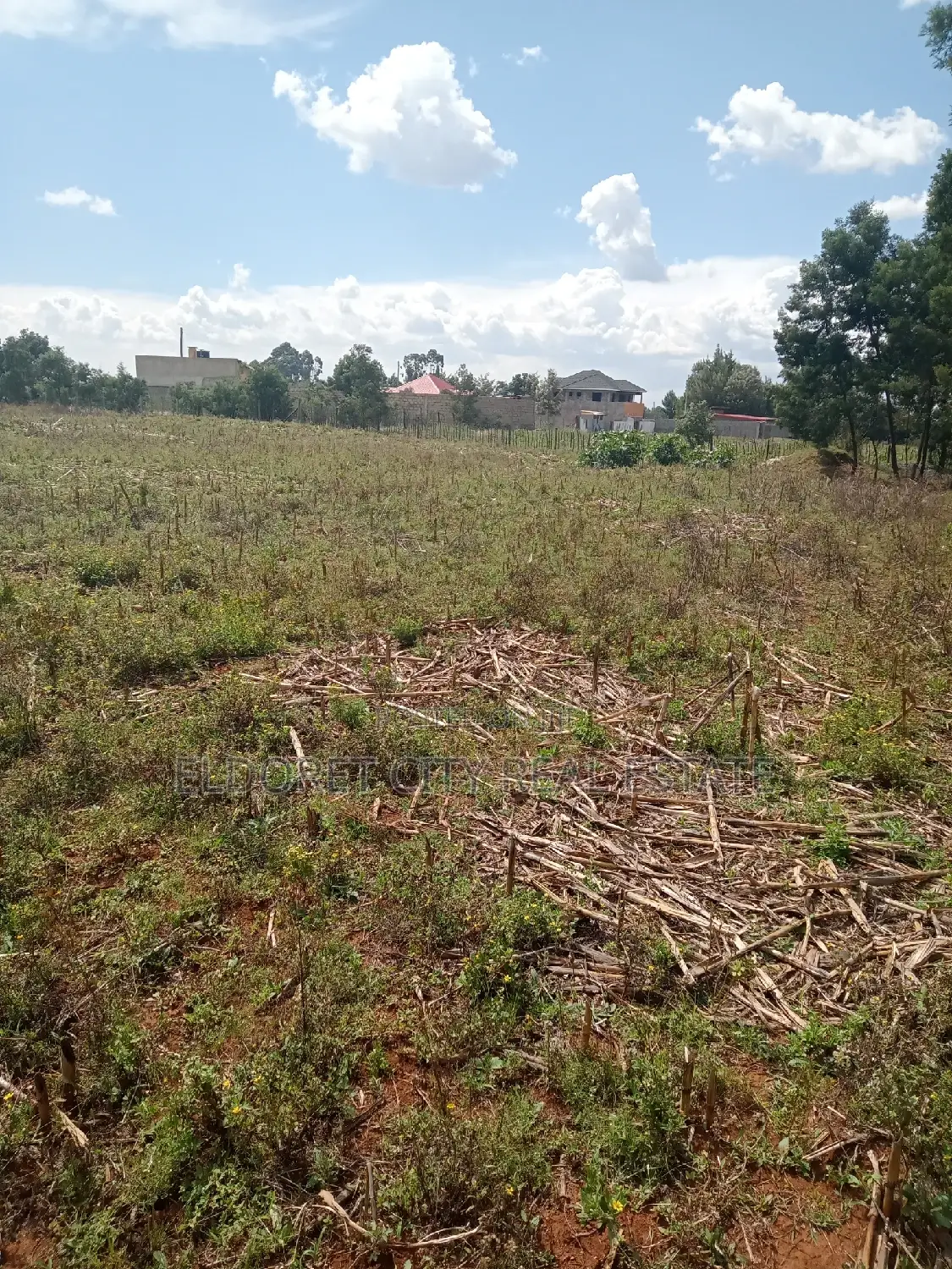 1/4 Plot Plus an 1/8 Plot One Title Kiplombe. in Kapsuswa