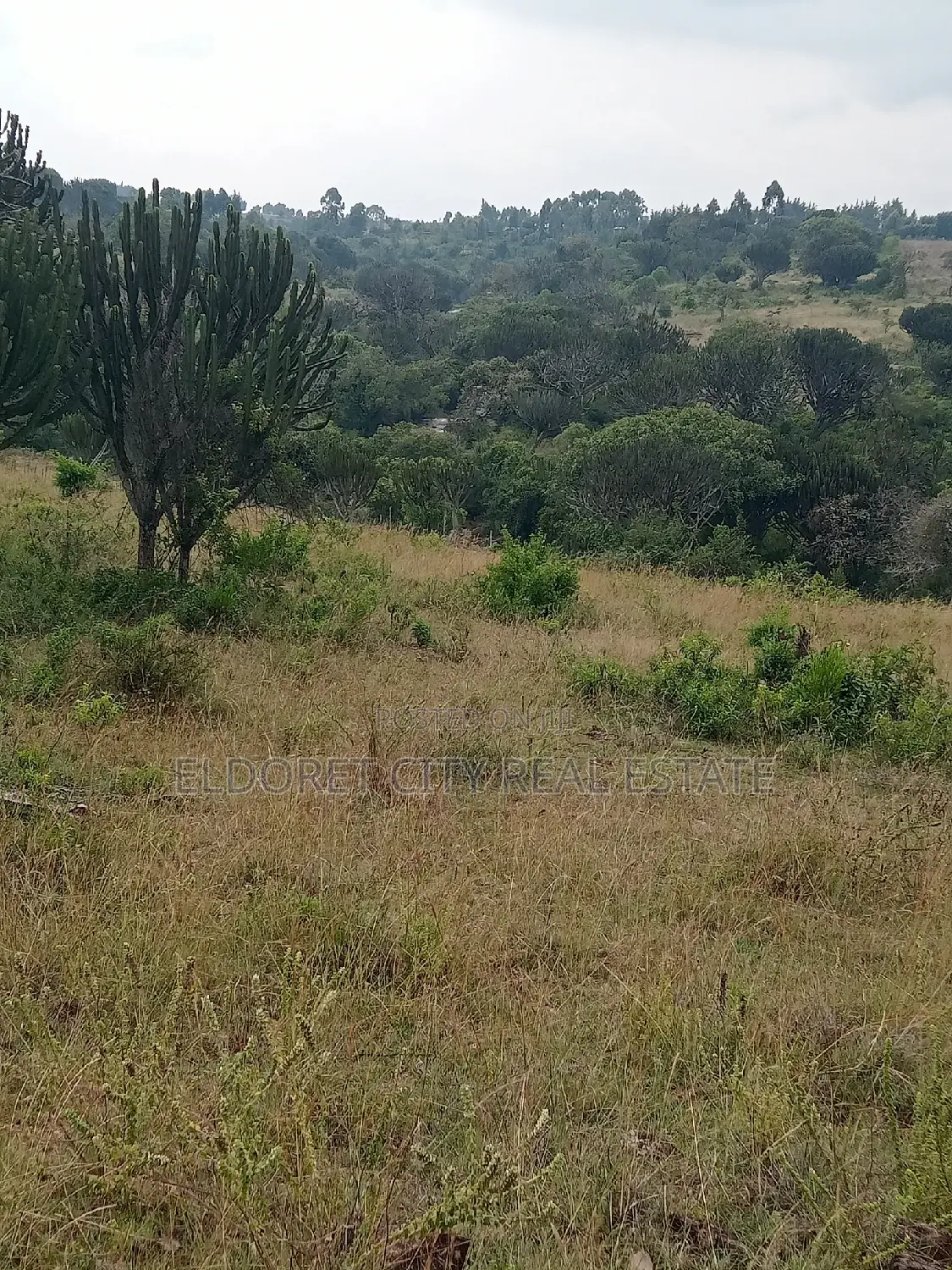 19 Acres Moiben Touching Permanent Flowing River in Kapsuswa