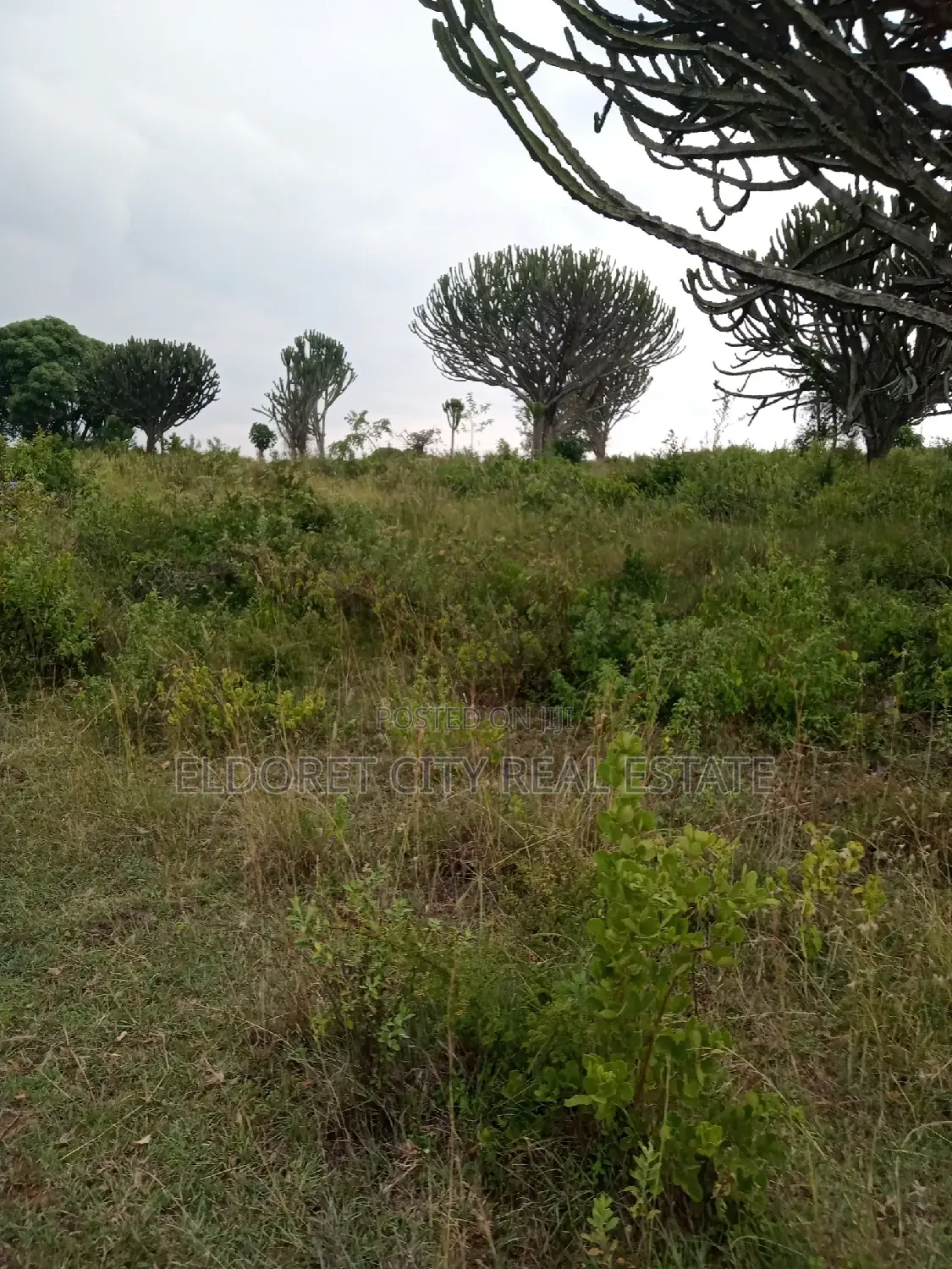 19 Acres Moiben Touching Permanent Flowing River in Kapsuswa
