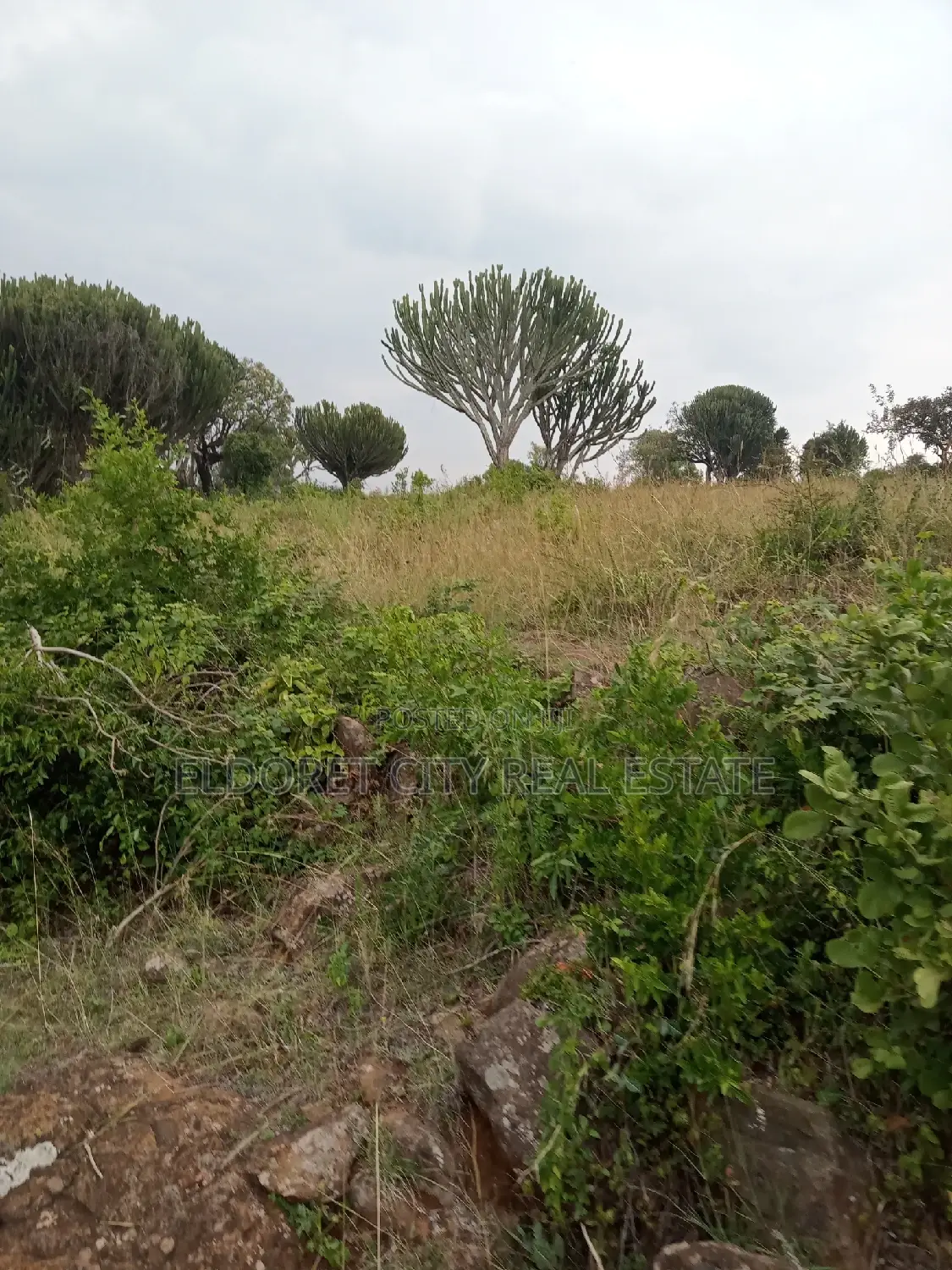 19 Acres Moiben Touching Permanent Flowing River in Kapsuswa