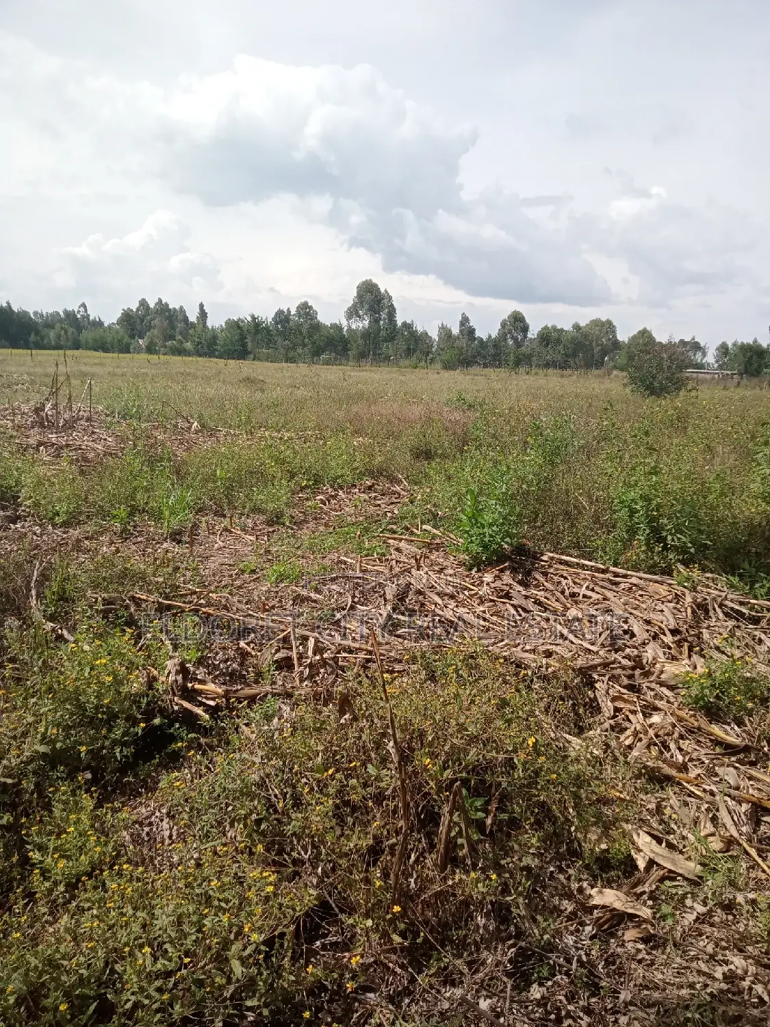 3 Acres Kaboi Kiplombe Route With Title in Kapsuswa
