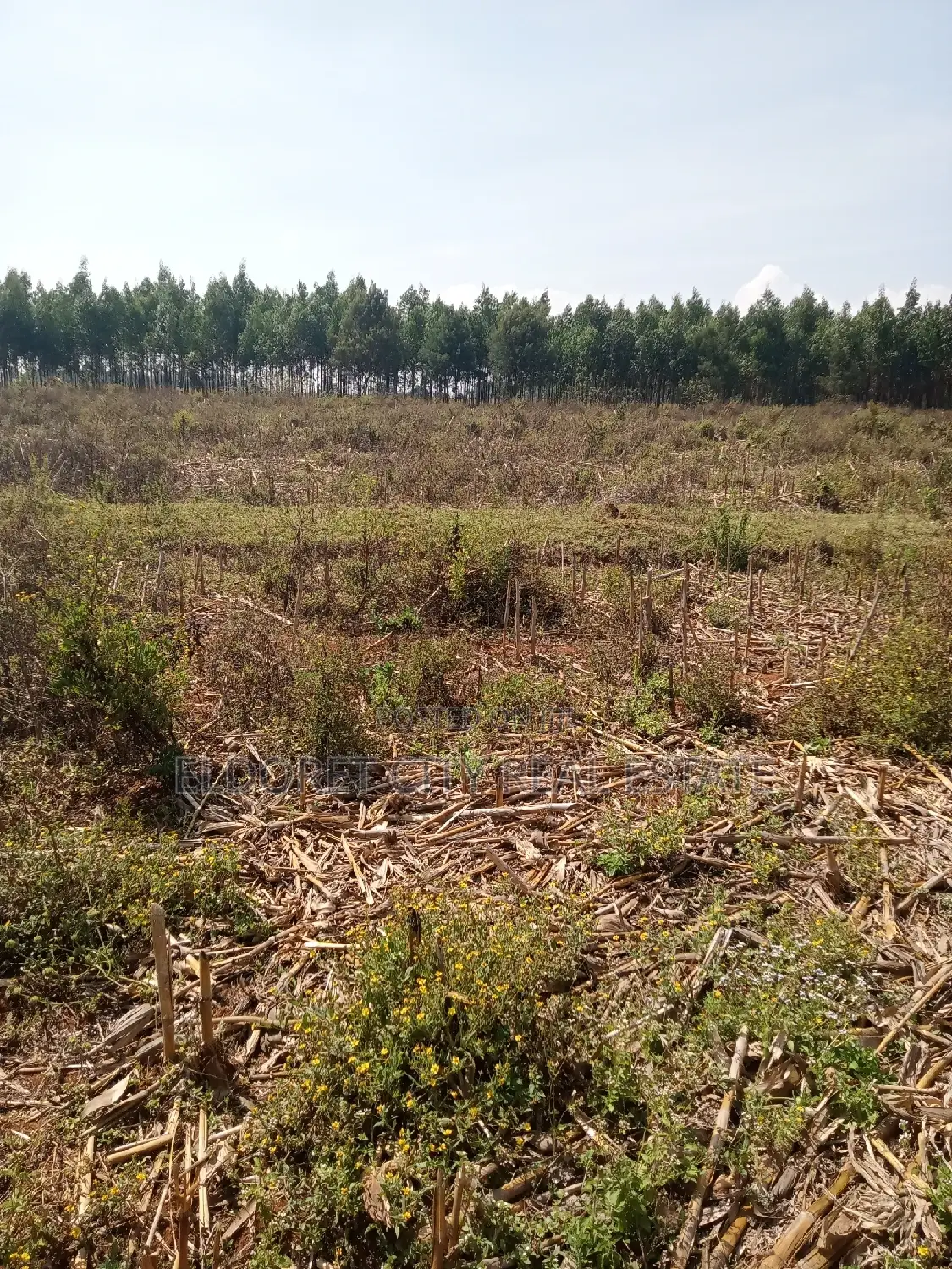 3 Acres Kaboi Kiplombe Route With Title in Kapsuswa
