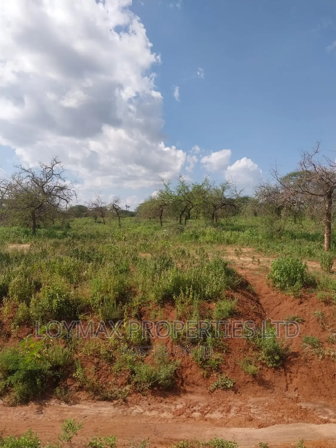 47 Acres Block on Sale in Mashuru Kajiado County in Kitengela