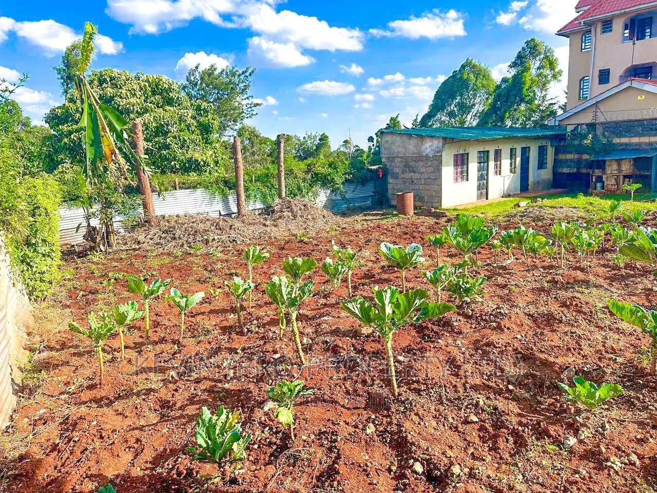 Residential Plot Sale in Kinoo, Muthiga: Find Your Haven Today in Kikuyu
