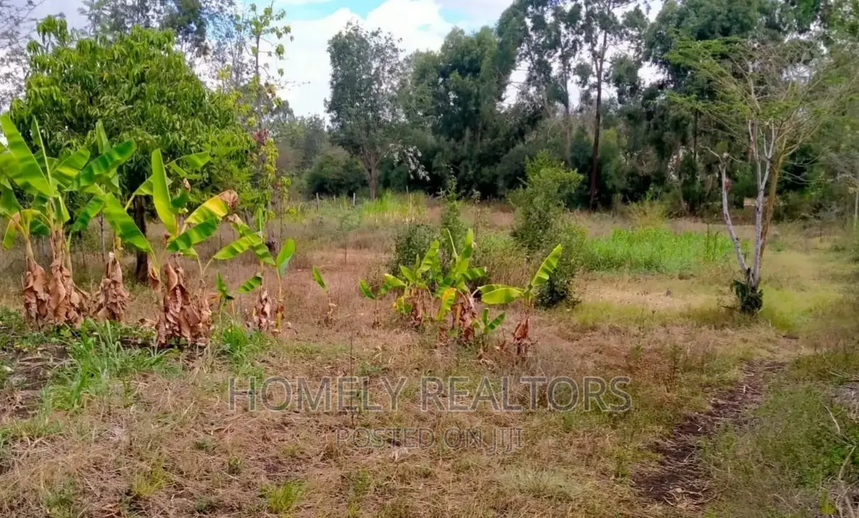 Ongata Rongai, Nkoroi: Quarter Acre Residential Land with Red Soil in Nkoroi