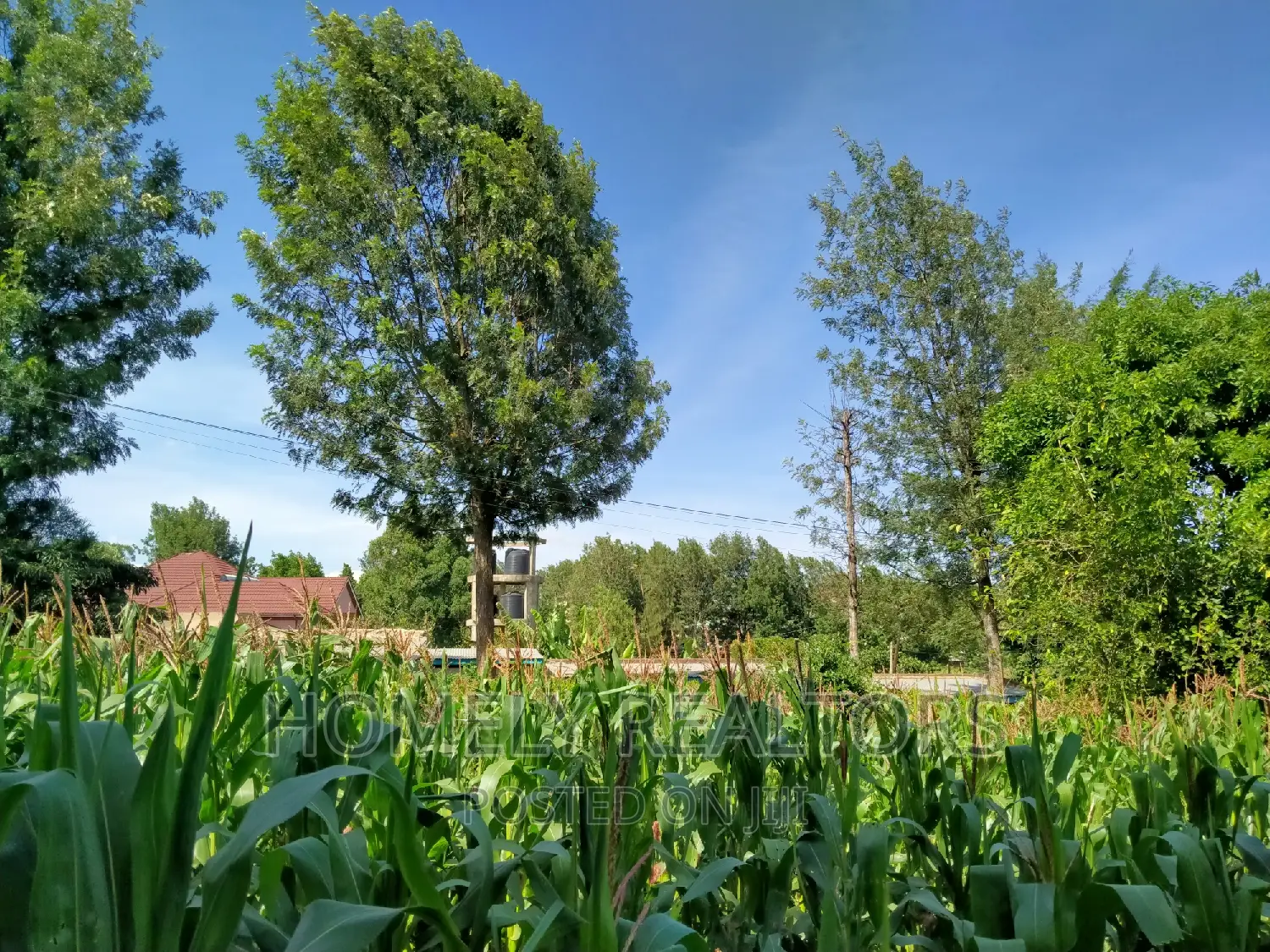 Ngong Half Acre Plot Near ACK Church - Perfect Investment Opportunity in Ngong
