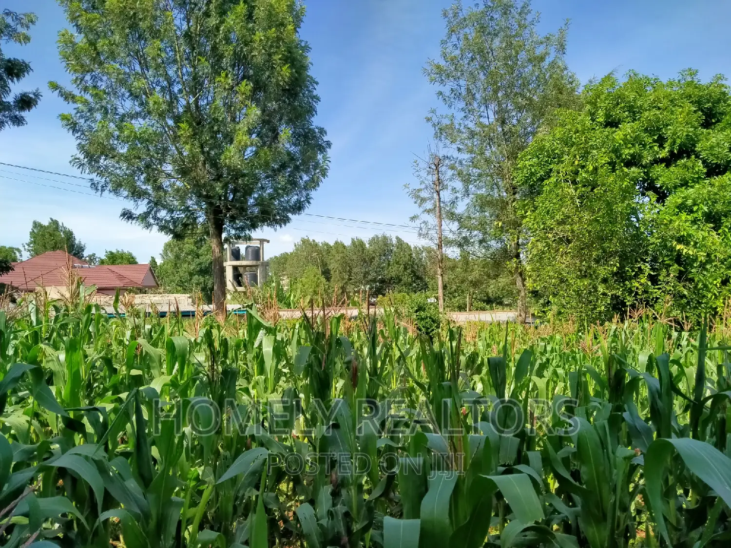 Ngong Half Acre Plot Near ACK Church - Perfect Investment Opportunity in Ngong