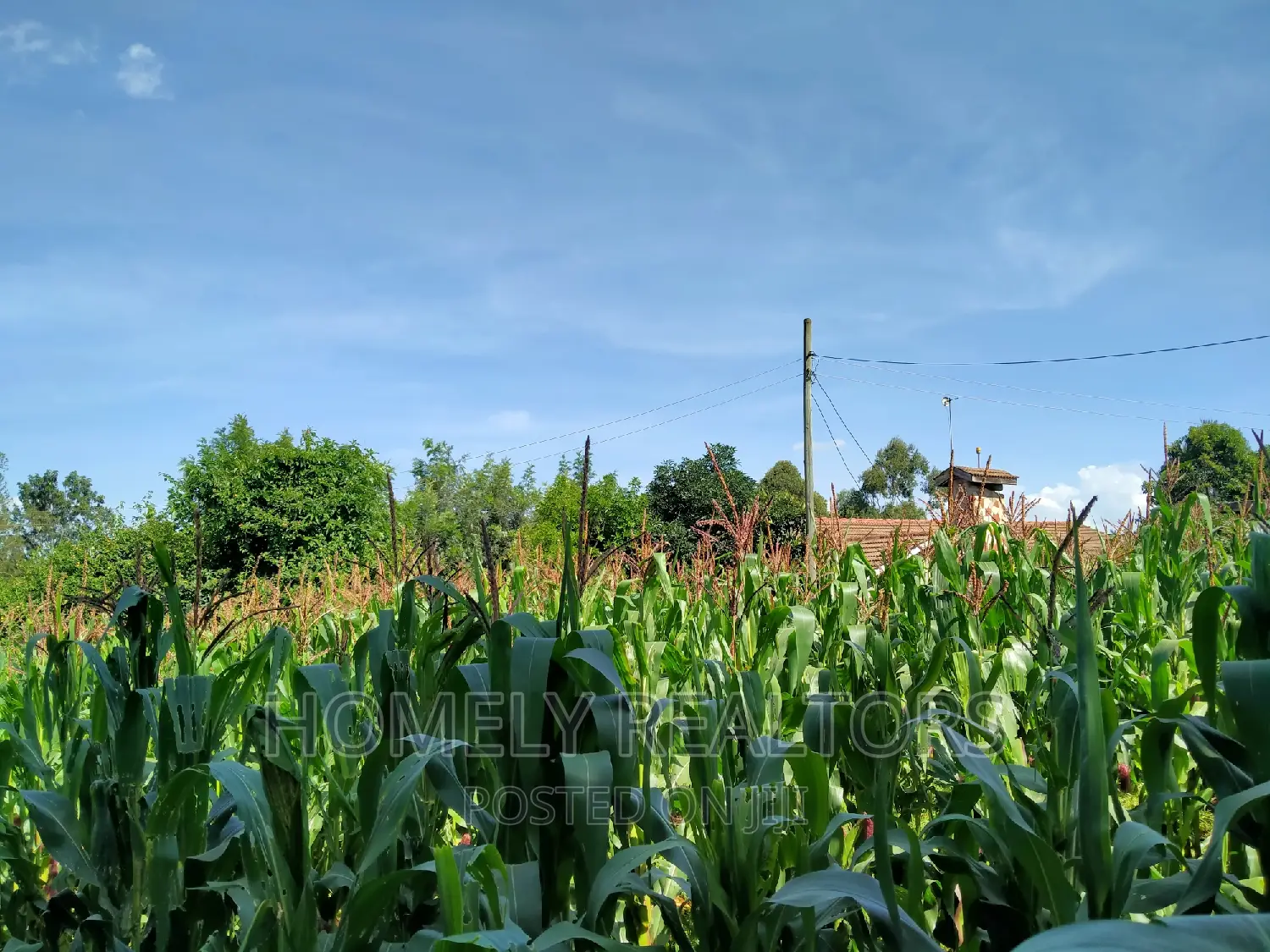 Ngong Half Acre Plot Near ACK Church - Perfect Investment Opportunity in Ngong