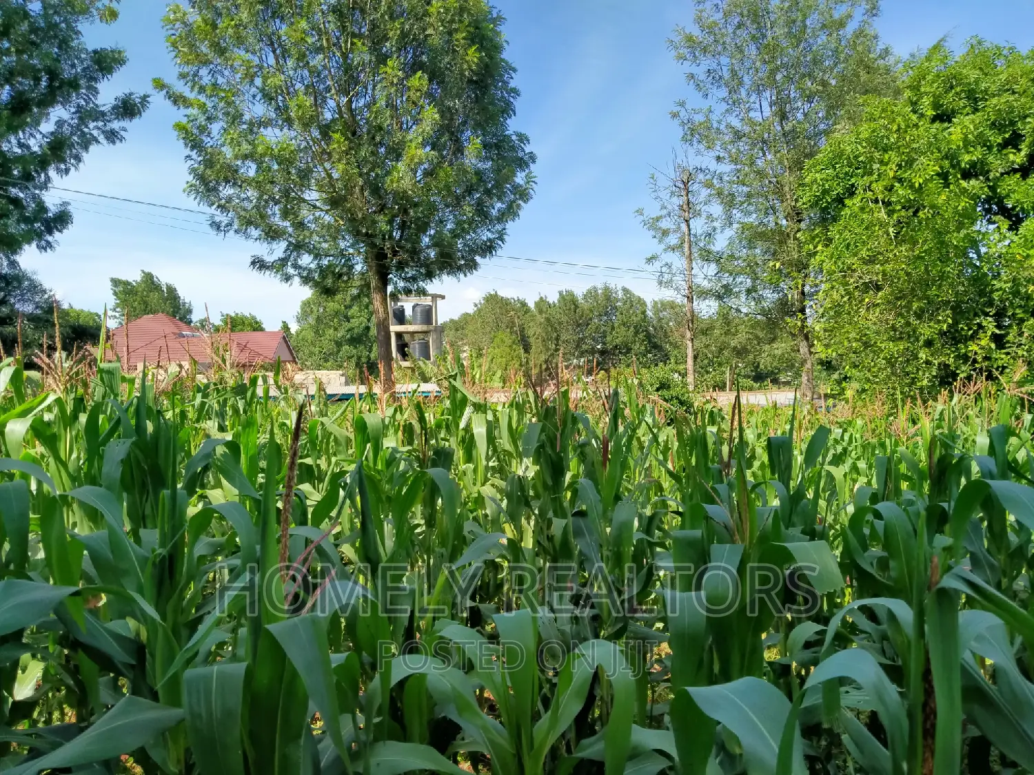 Ngong Half Acre Plot Near ACK Church - Perfect Investment Opportunity in Ngong