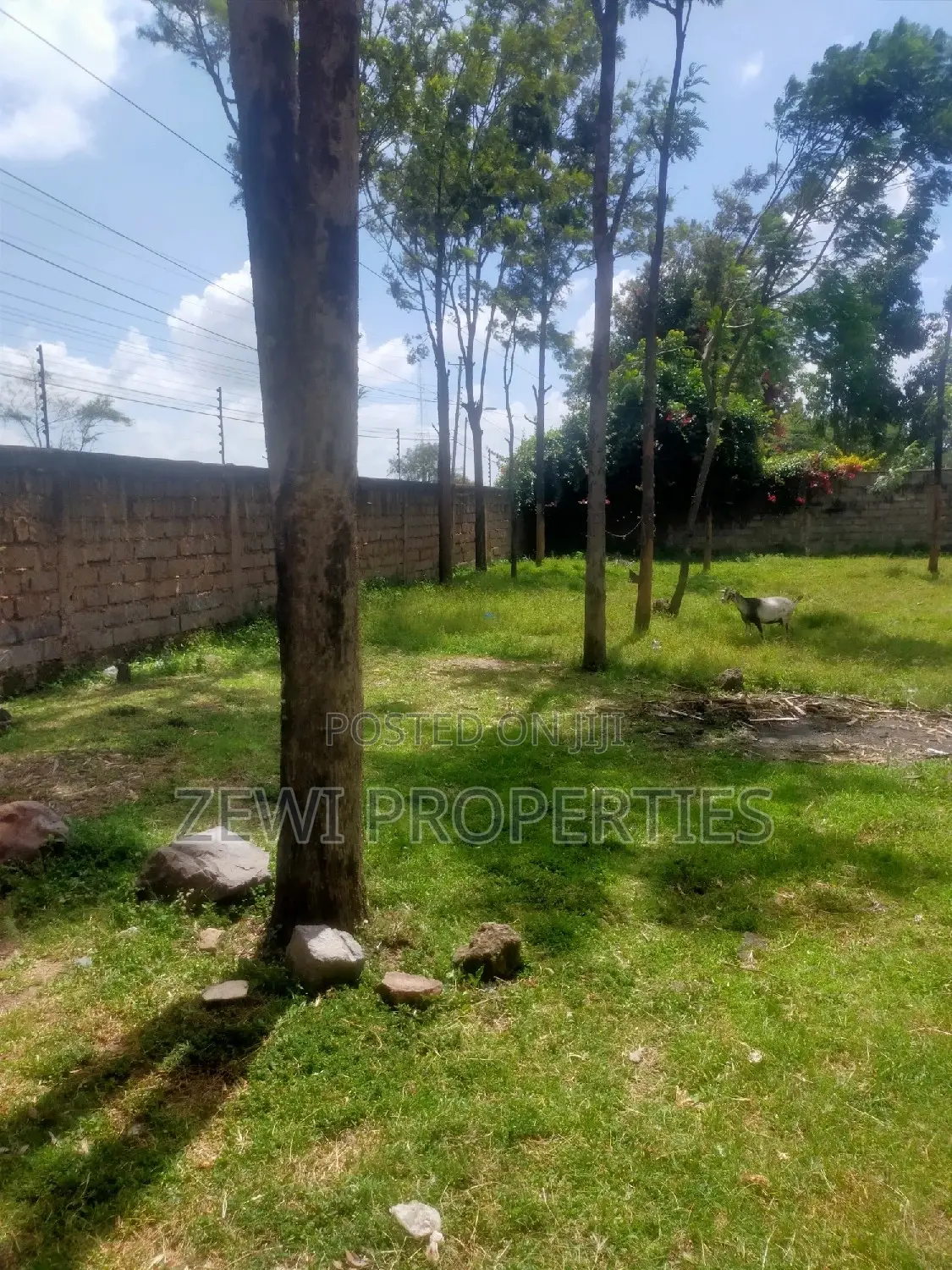 Kerarapon, Karen: 1/4 Acre Plot for Sale Now in Kerarapon