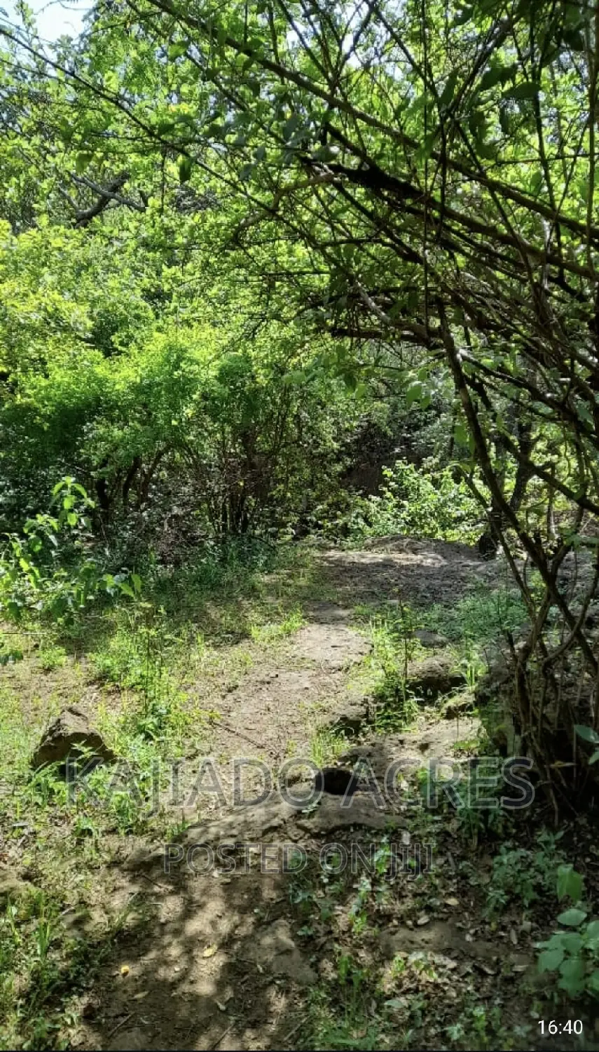 Ewuaso Kedong: 20 Acres of Hot Springs Property for Sale, Ksh per Acre in Ewaso Kendong