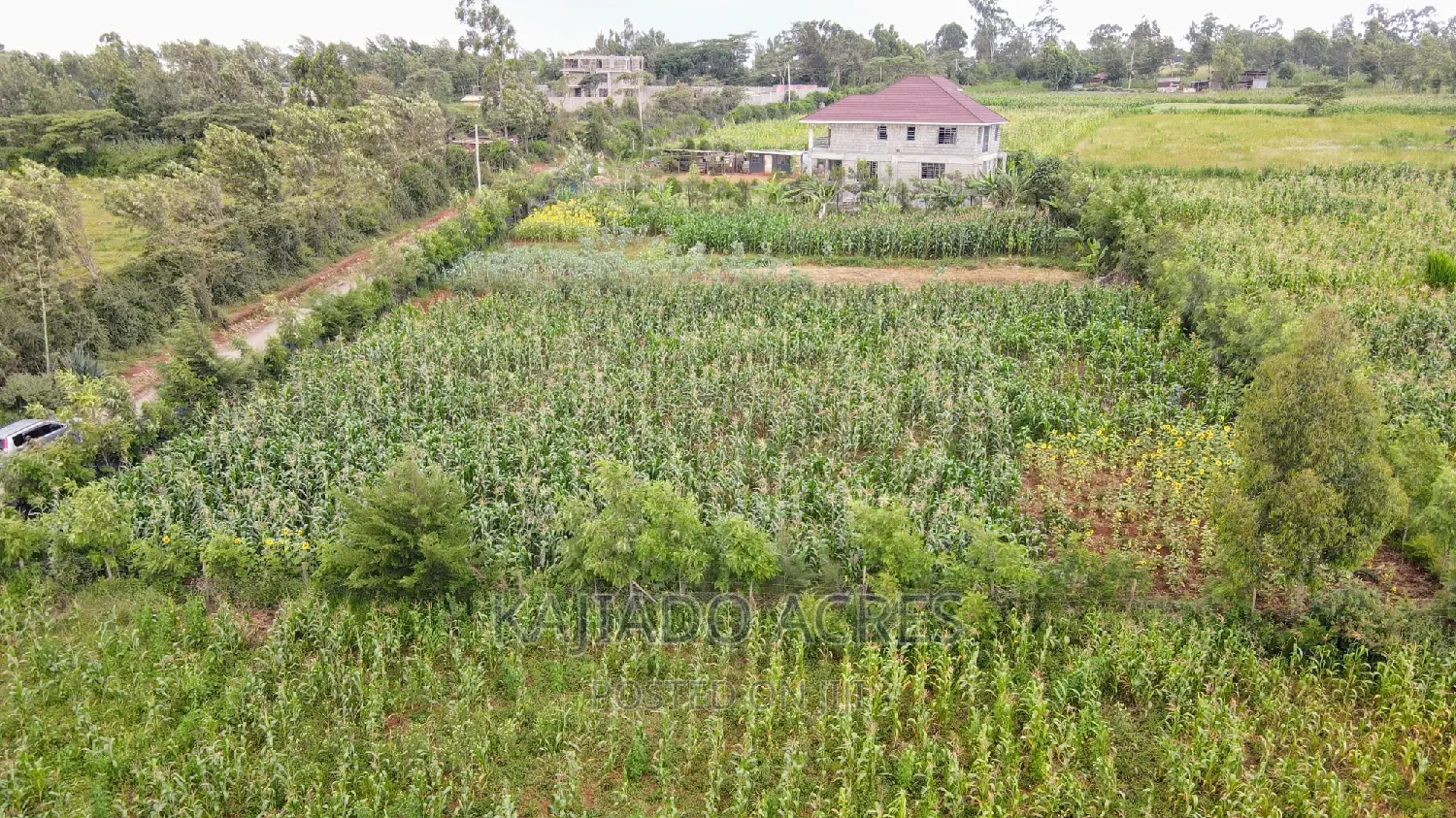 1/4 Acre Kibiku at 6m in Kibiku