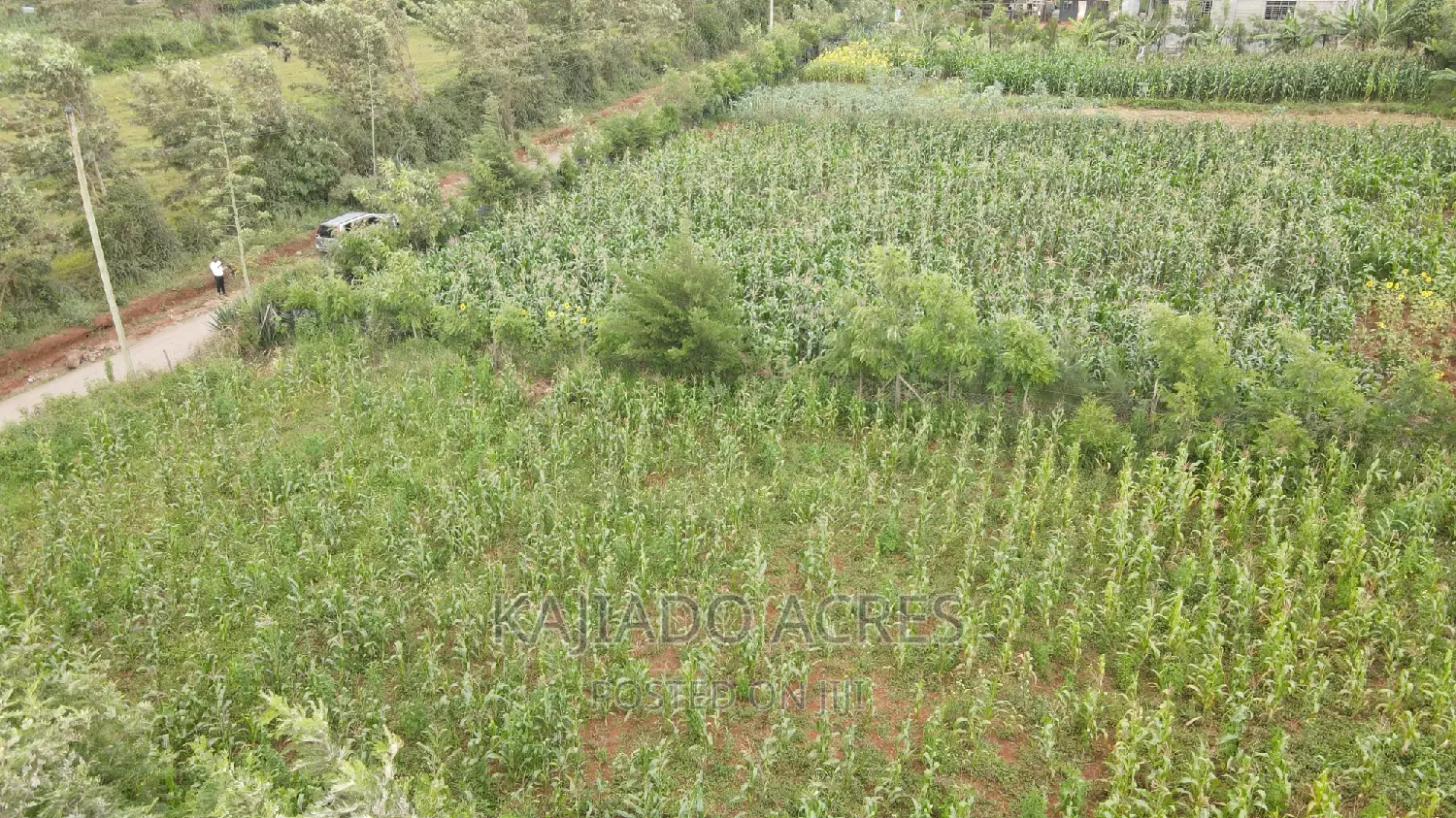 1/4 Acre Kibiku at 6m in Kibiku