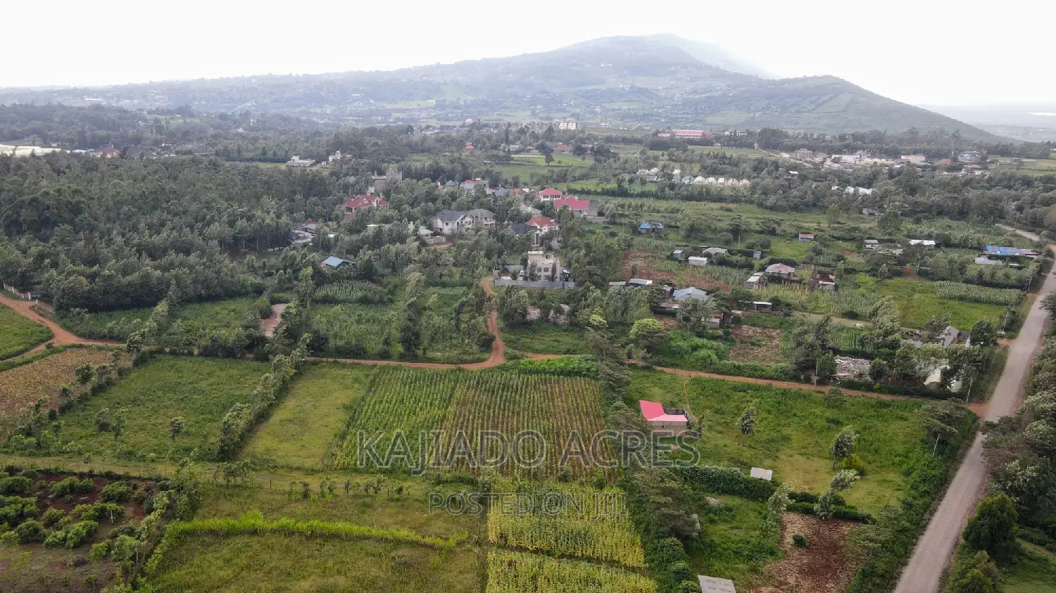 1/4 Acre Kibiku at 6m in Kibiku