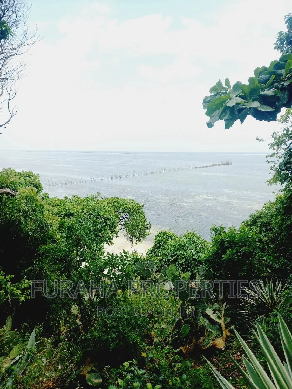 Kikambala: Affordable 1/4 Acre Plot For Sale in Kikambala