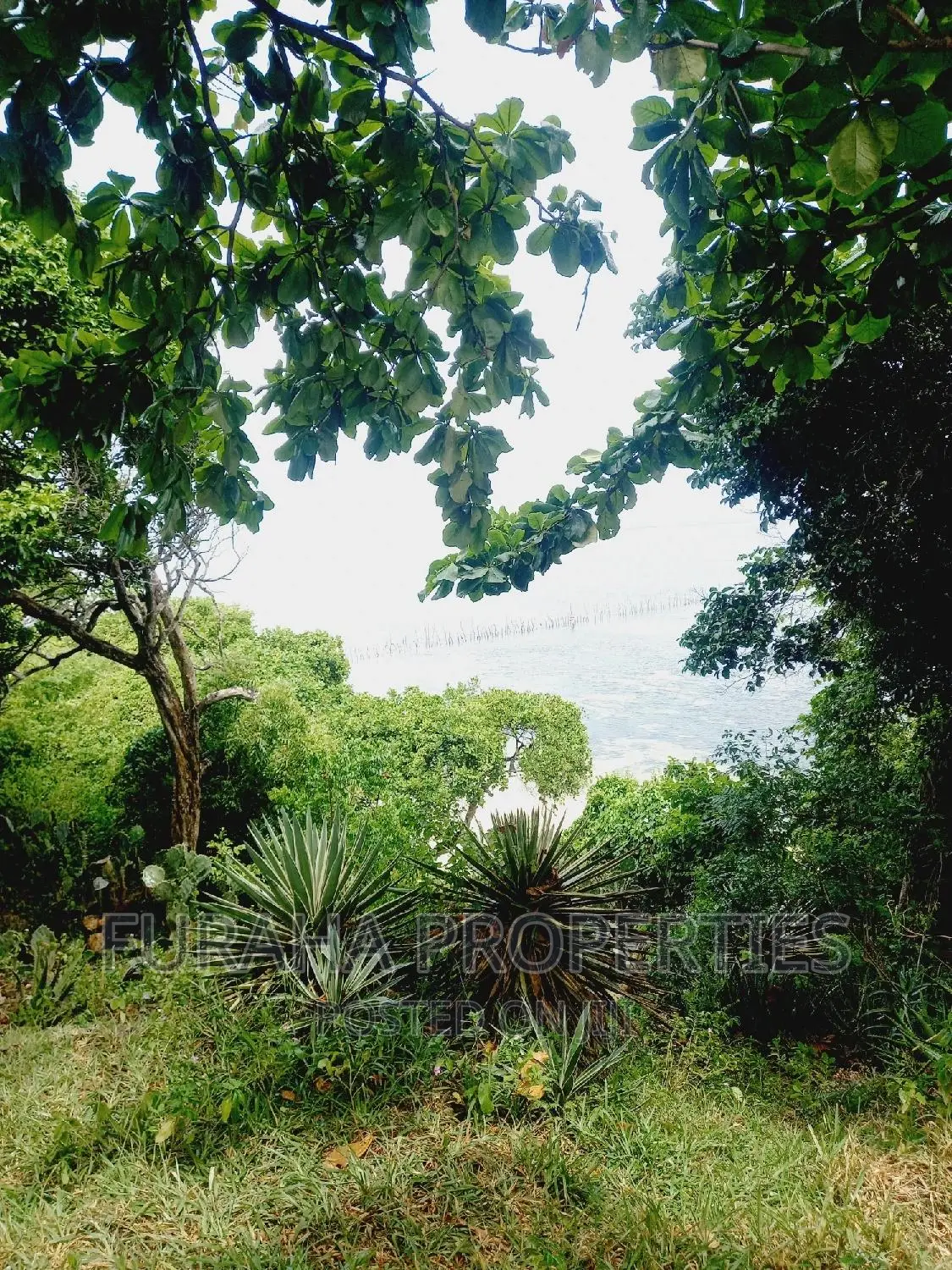 Kikambala: Affordable 1/4 Acre Plot For Sale in Kikambala