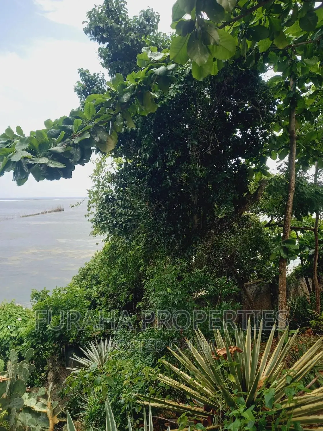 Kikambala: Affordable 1/4 Acre Plot For Sale in Kikambala