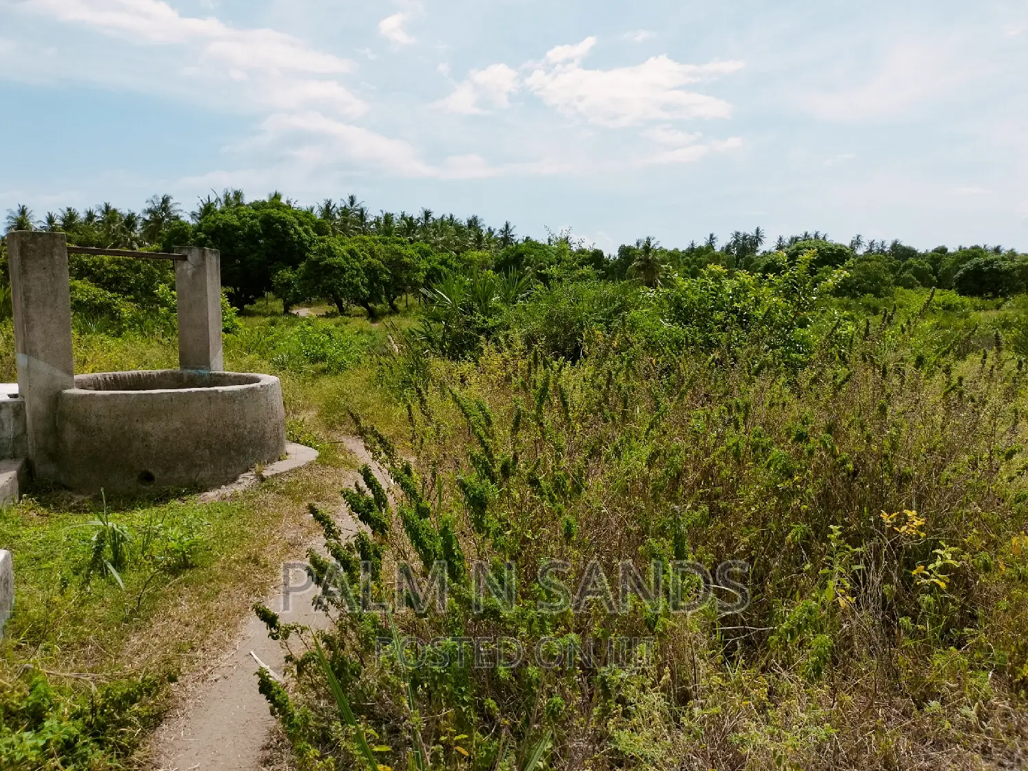 12-Acre Mvindeni Property for Sale: Your Dream Investment Awaits! in Ukunda