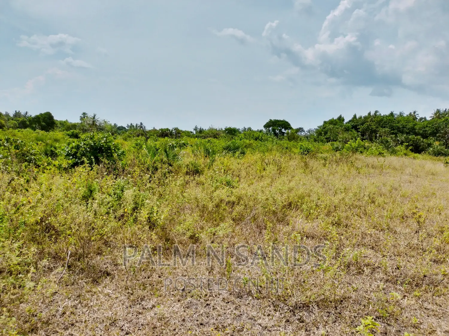 12-Acre Mvindeni Property for Sale: Your Dream Investment Awaits! in Ukunda