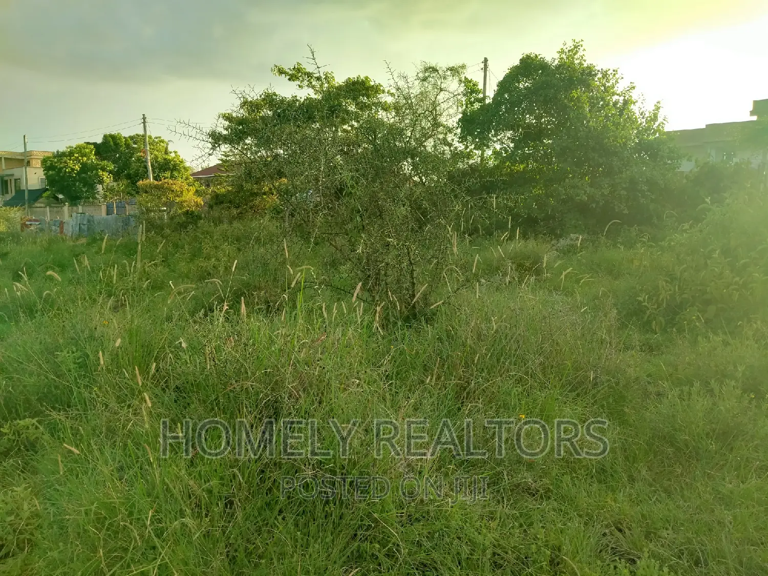 Half-Acre Property in Kandisi: 200 Meters from Tarmac Road - Available Now in Ongata Rongai