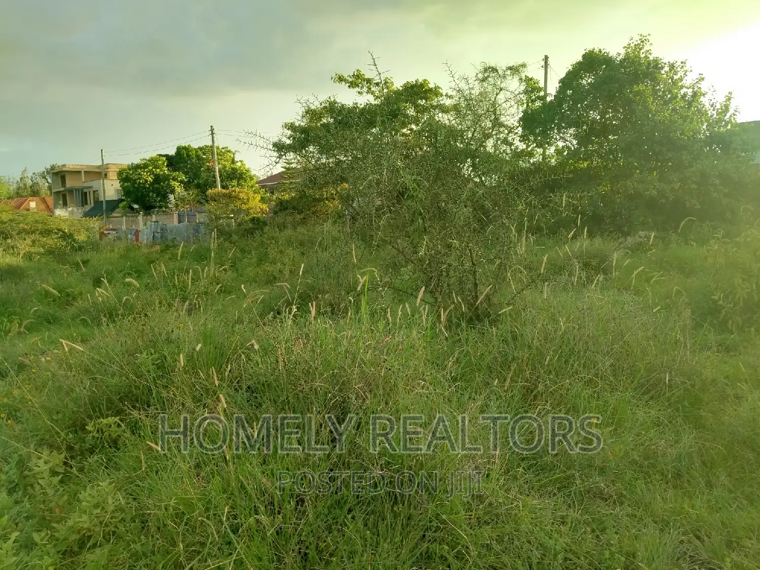 Half-Acre Property in Kandisi: 200 Meters from Tarmac Road - Available Now in Ongata Rongai