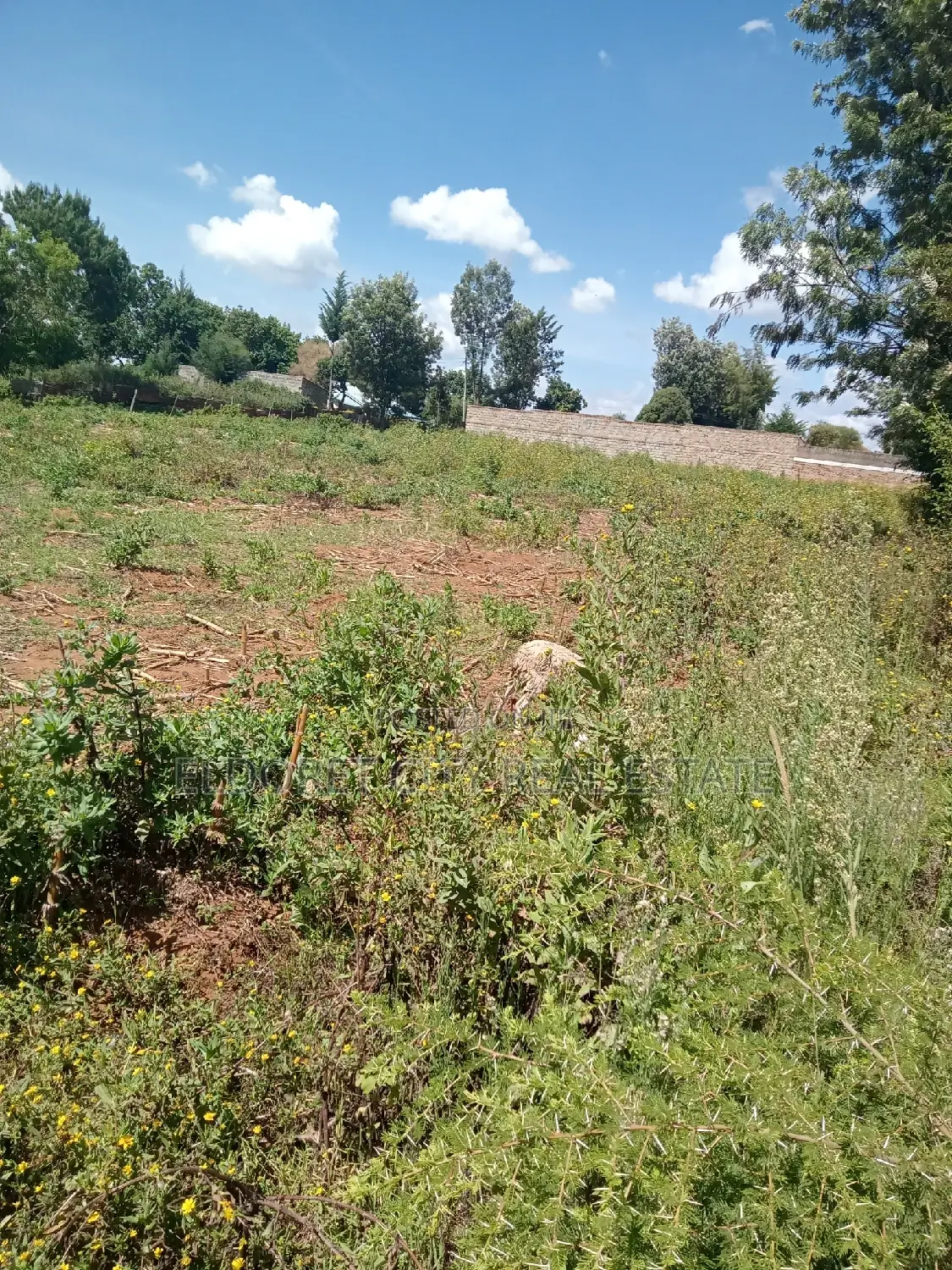 1/4 Plot Kimumu Betterfarm With Title in Kapsuswa